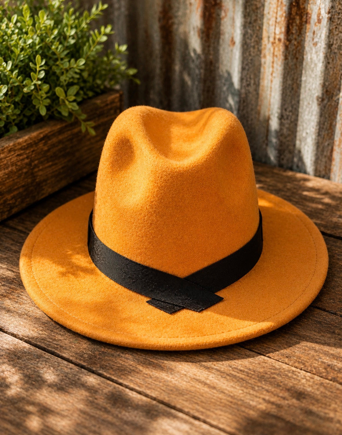 Wide Brim Felt Hat