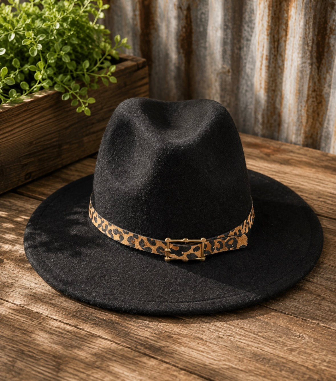 Wide Brim Felt Hat